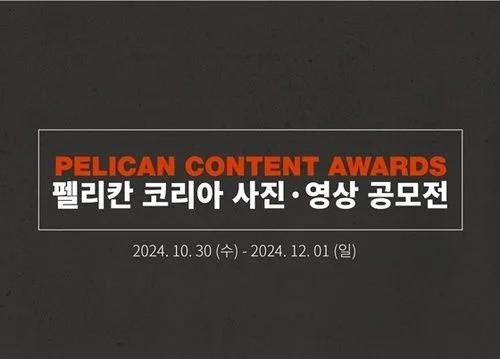 어두운 회색 바탕에 주황색으로 쓴 PELICAN CONTENT AWARDS
